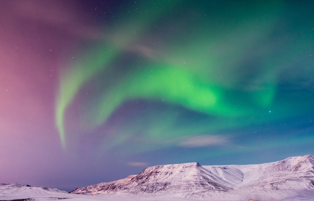 green aurora lights on sky