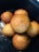 A collection of round, golden-brown fried balls placed closely together in a dark container, likely showcasing a type of pastry or snack. The surface appears crisp and evenly browned.