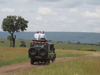 masai mara safari: best time to visit masai mara