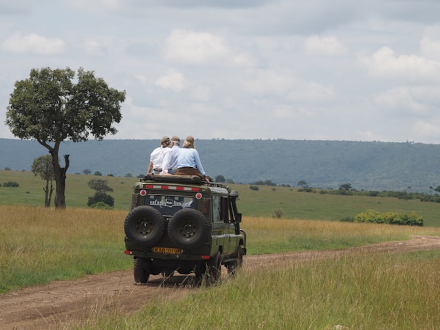 masai mara safari: best time to visit masai mara