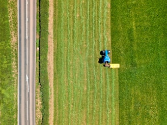 2 people sitting on green grass field during daytime