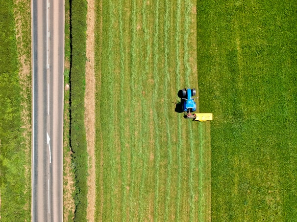 2 people sitting on green grass field during daytime