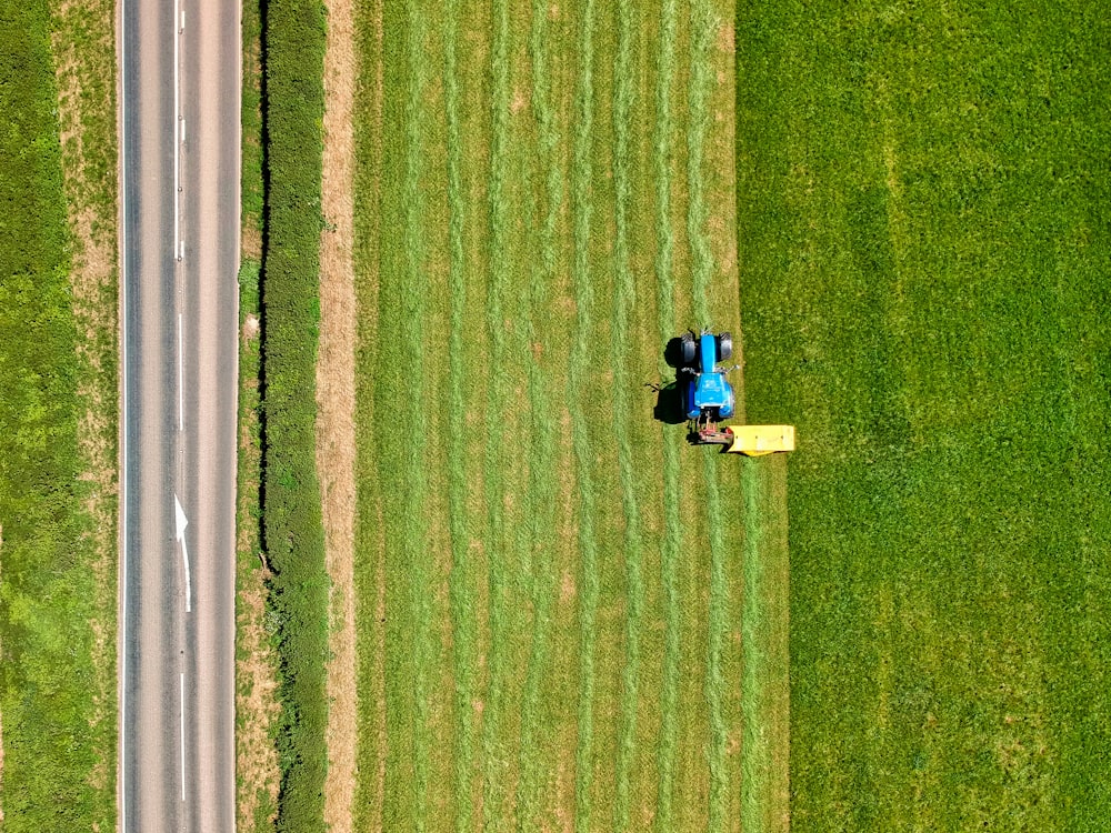 2 personnes assises sur un champ d’herbe verte pendant la journée