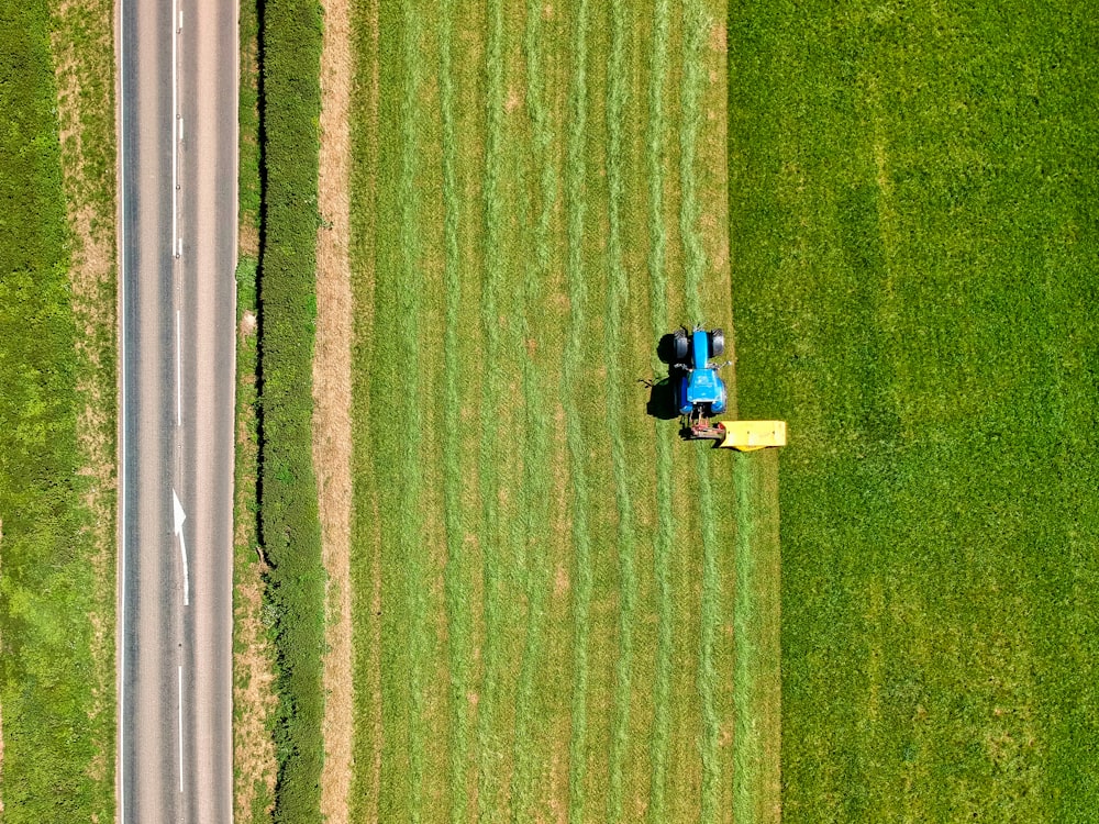 2 persone sedute sul campo di erba verde durante il giorno