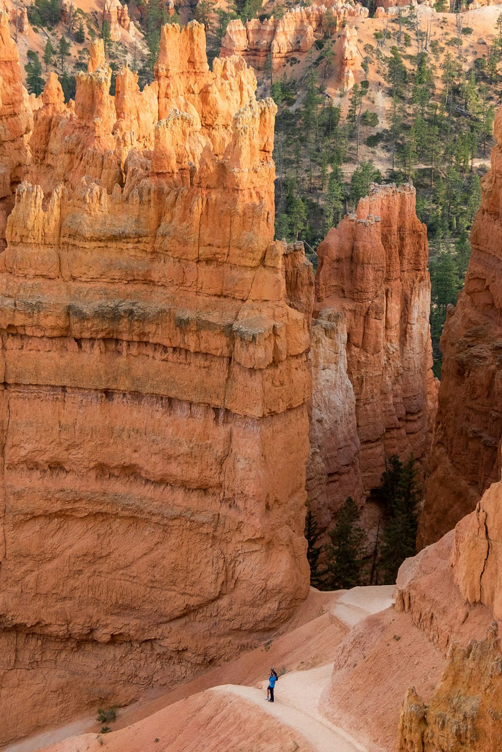 brown rock formation during daytime