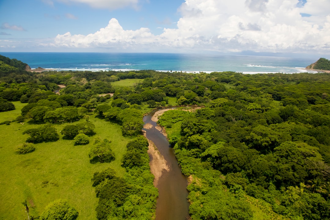 photo of Guanacaste Nature reserve near Playa Grande