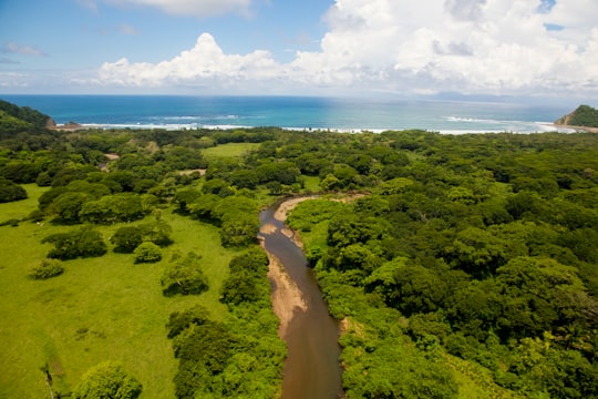 aerial view of green trees and body of water during daytime in Guanacaste Costa Rica