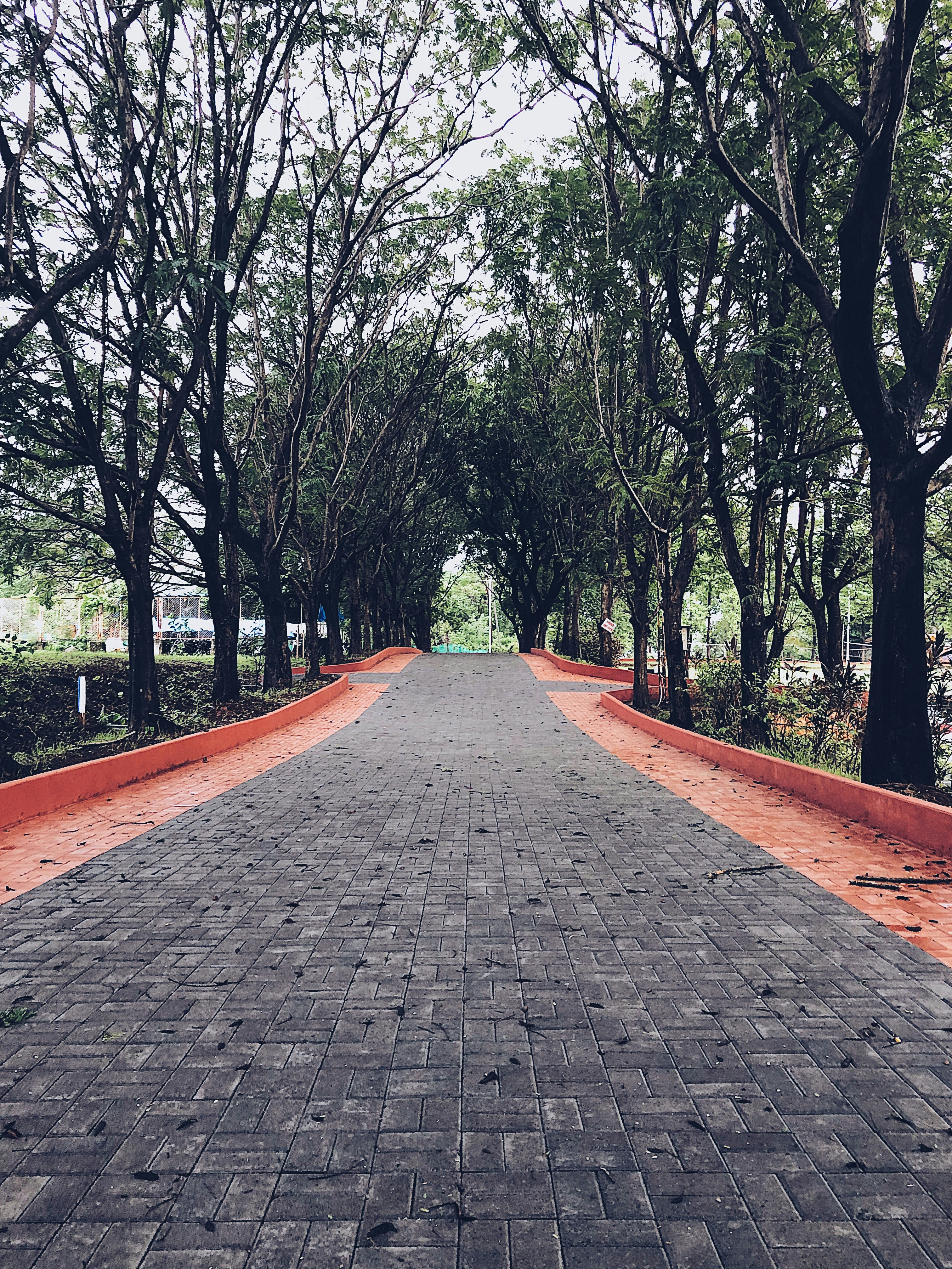 Photo by kaustubh005