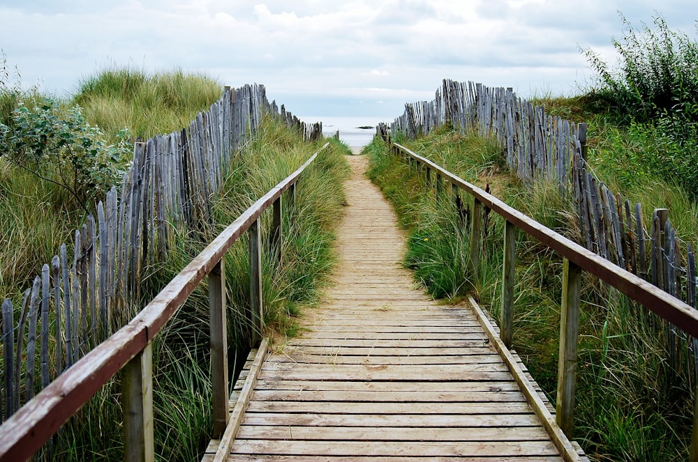 brown wooden bridge in between green grass field during daytime