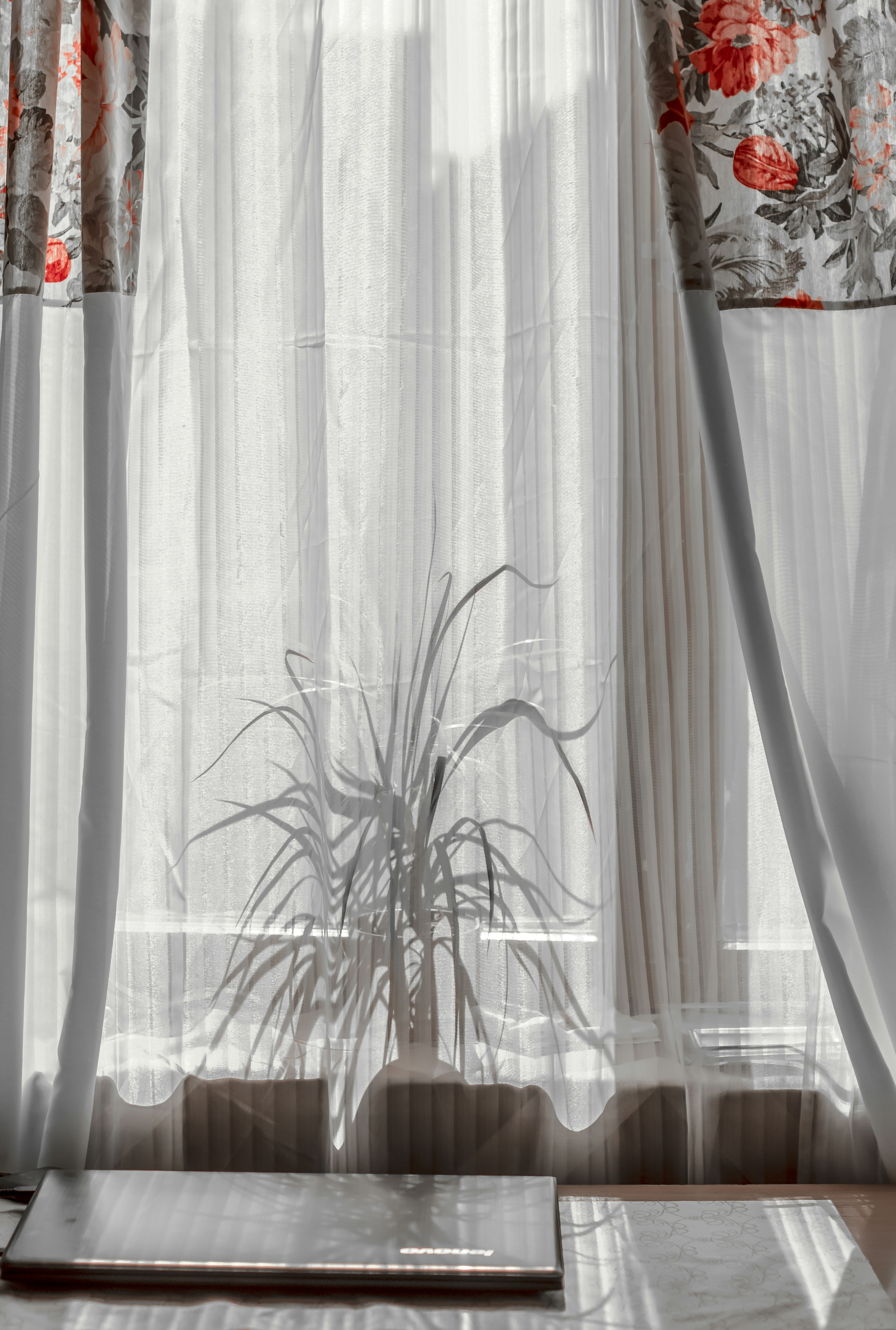 Cortinas Roller a Medida