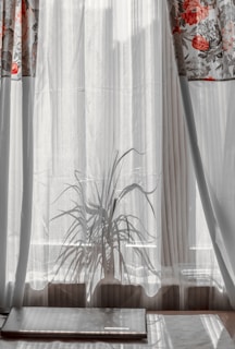 A plant casts a shadow on sheer curtains, creating an intricate pattern. The curtains have a floral design with red flowers at the top, and there's a closed silver laptop on the table by the window.