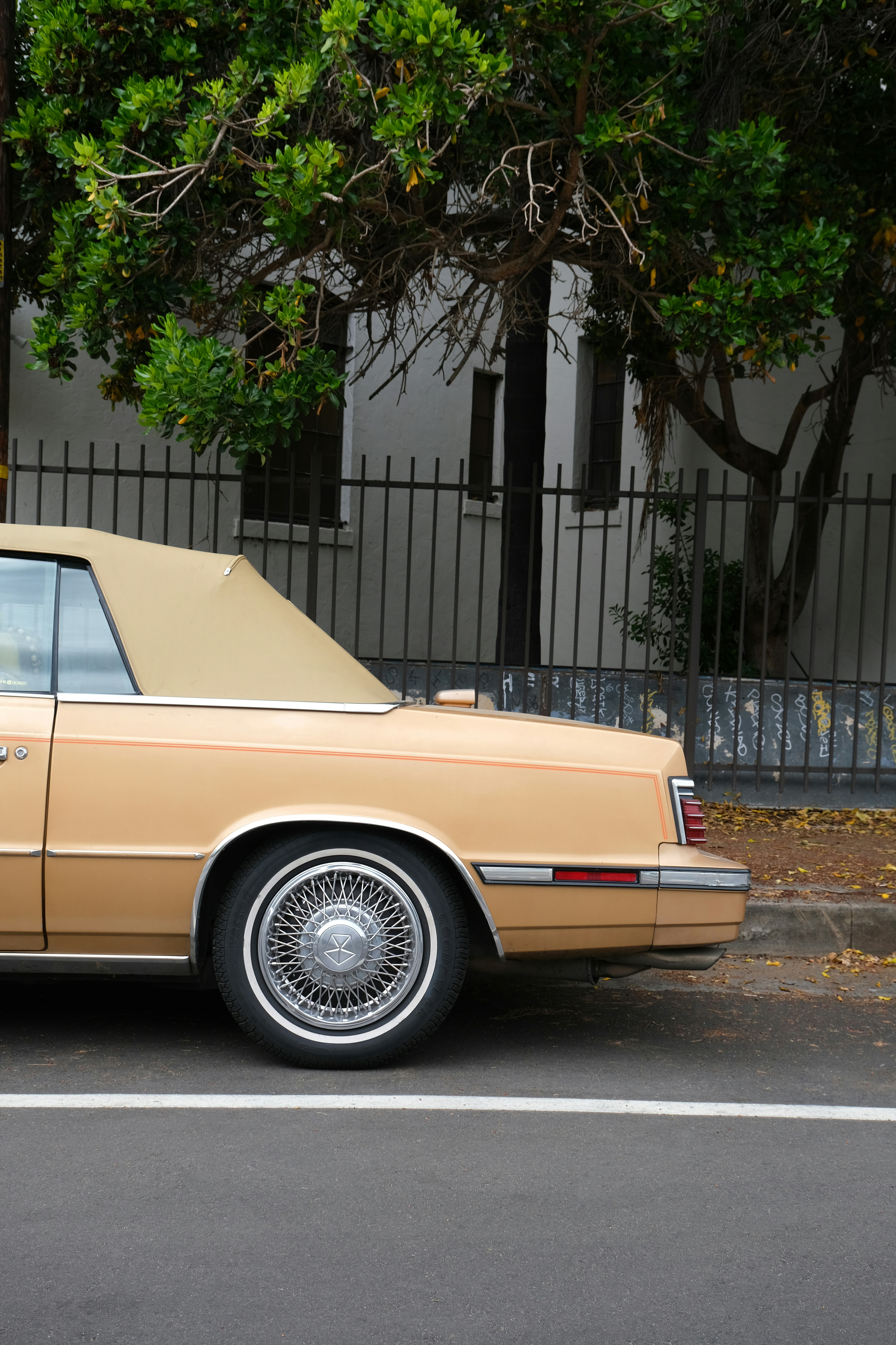 Photo by thevoncomplex