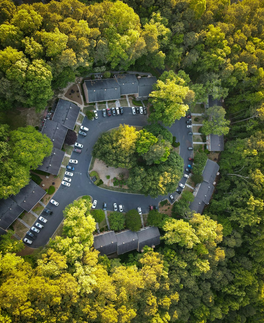 aerial view of gray concrete bridge surrounded by green trees during daytime