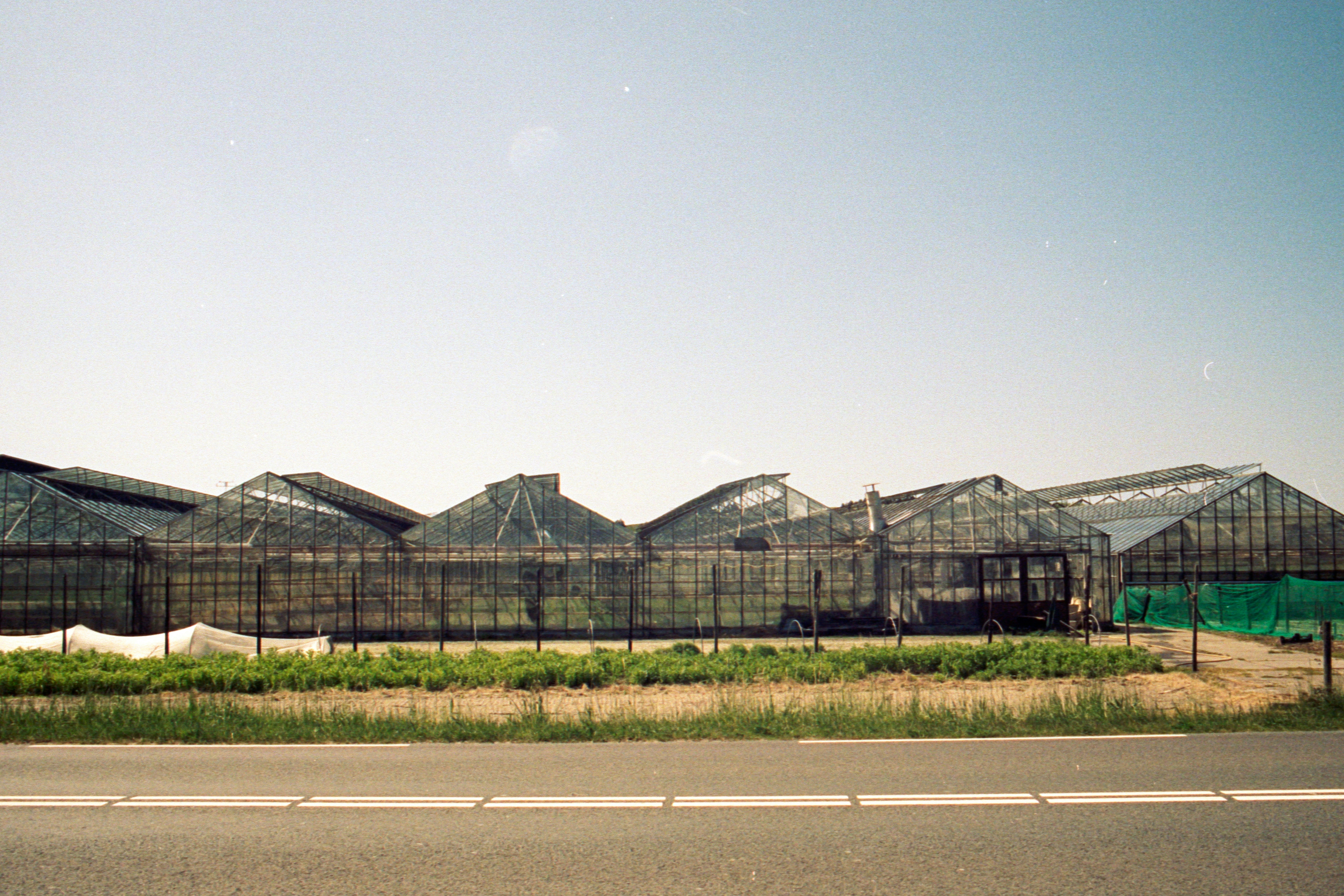 Photo by jeancarloemer