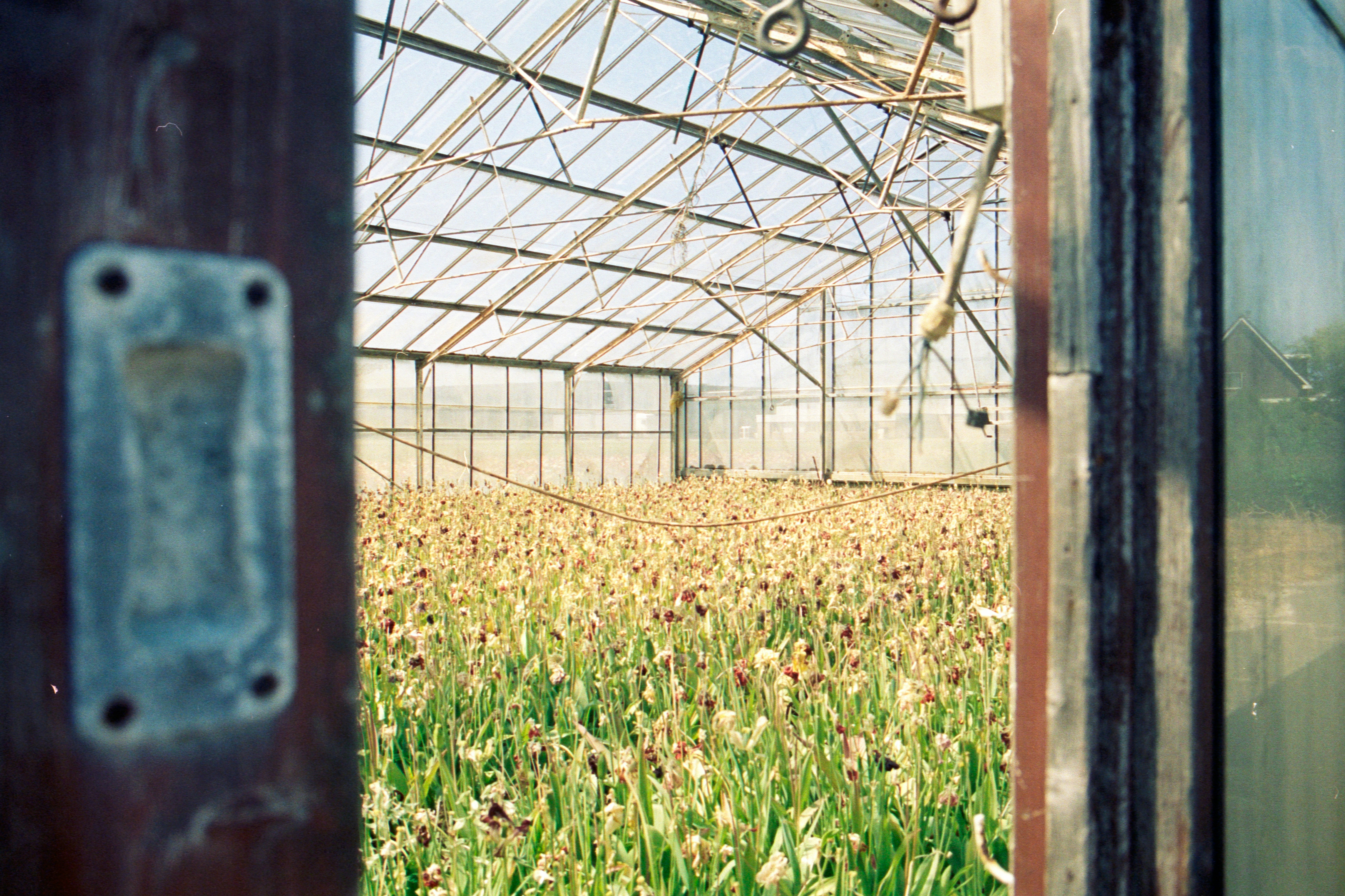 Photo by jeancarloemer