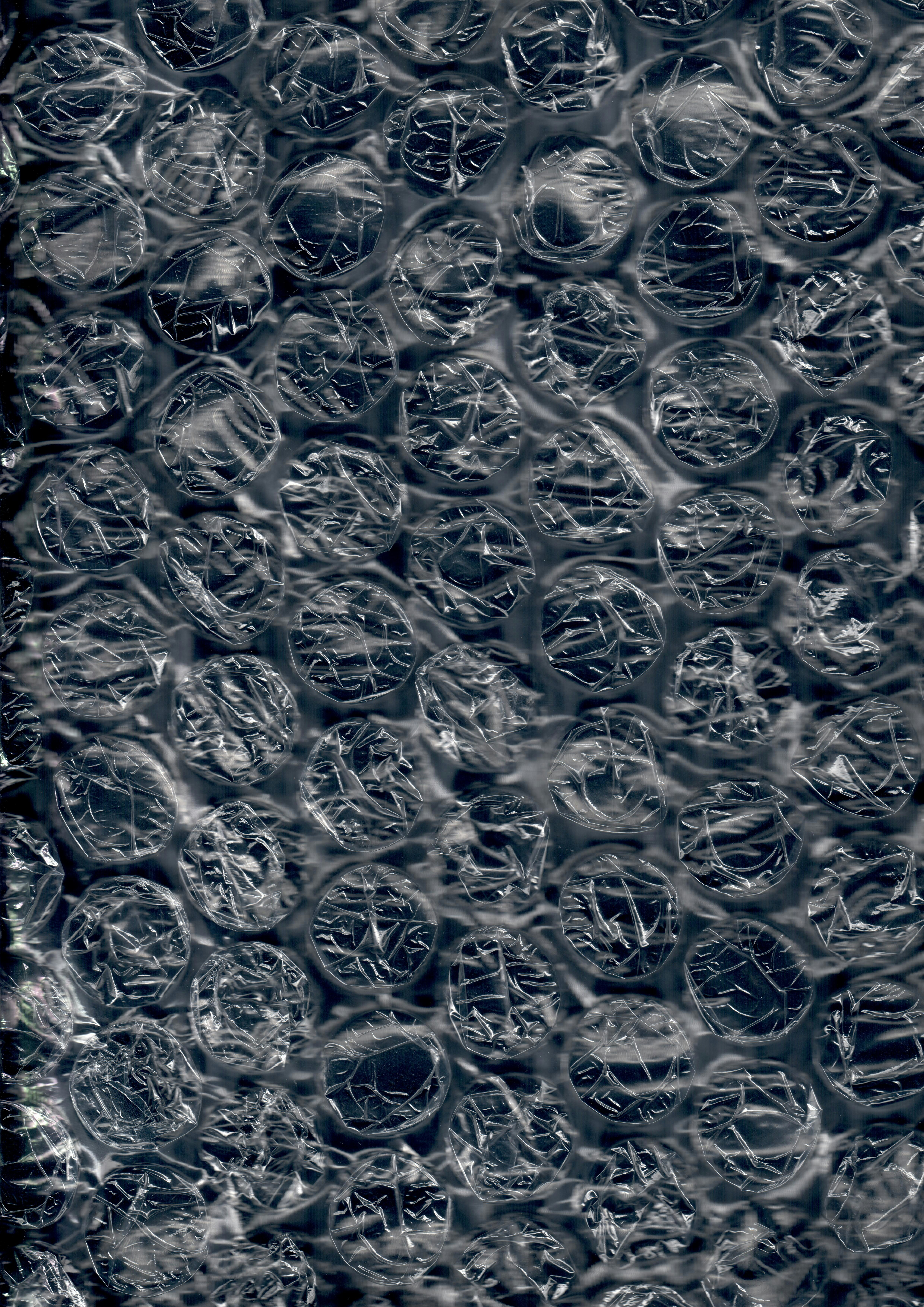 white and blue floral textile