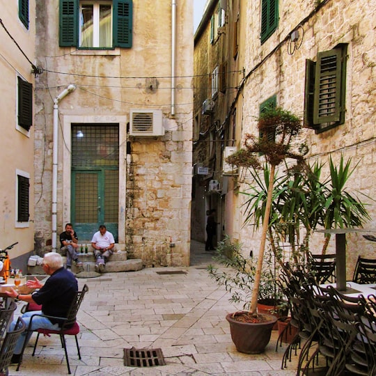 people sitting on chairs near green potted plant during daytime in Split Croatia