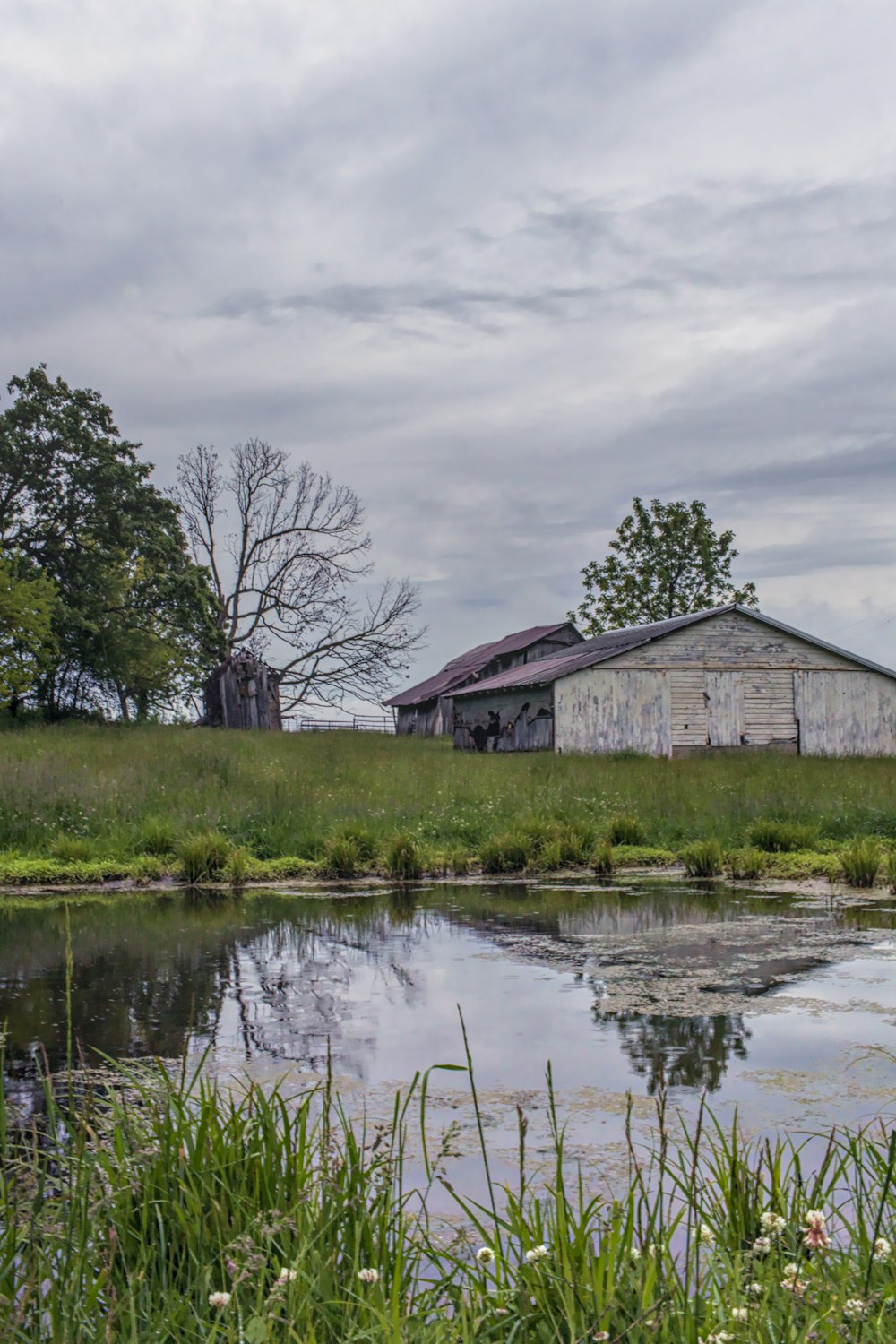 brown wooden house near lake under cloudy sky during daytime