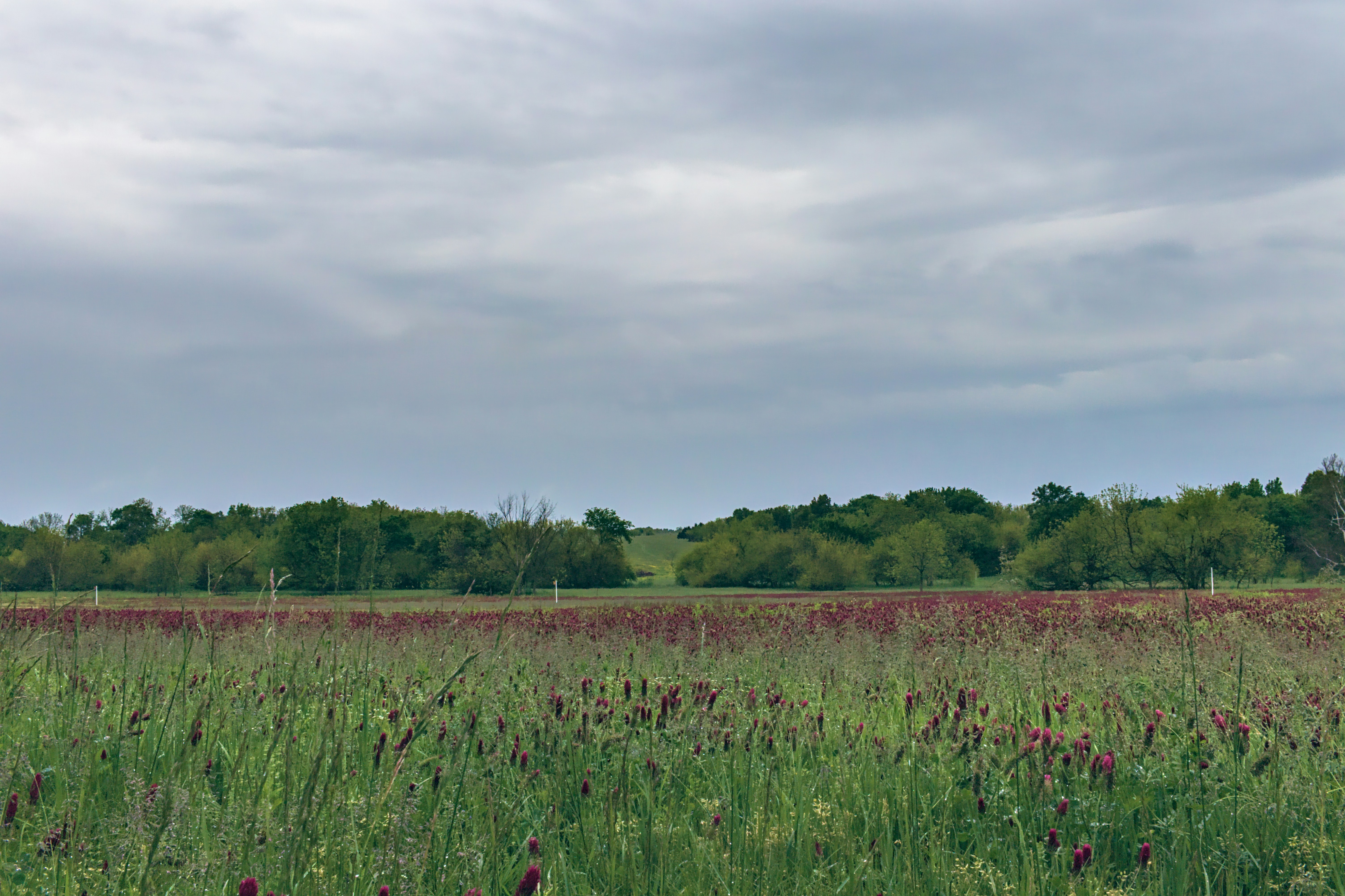 Photo by sikesphotos