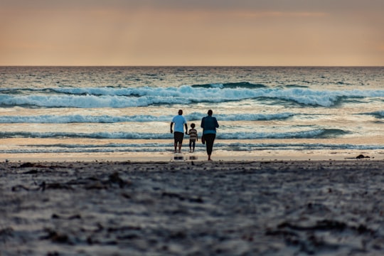 3 people walking on beach during daytime in Melkbosstrand South Africa