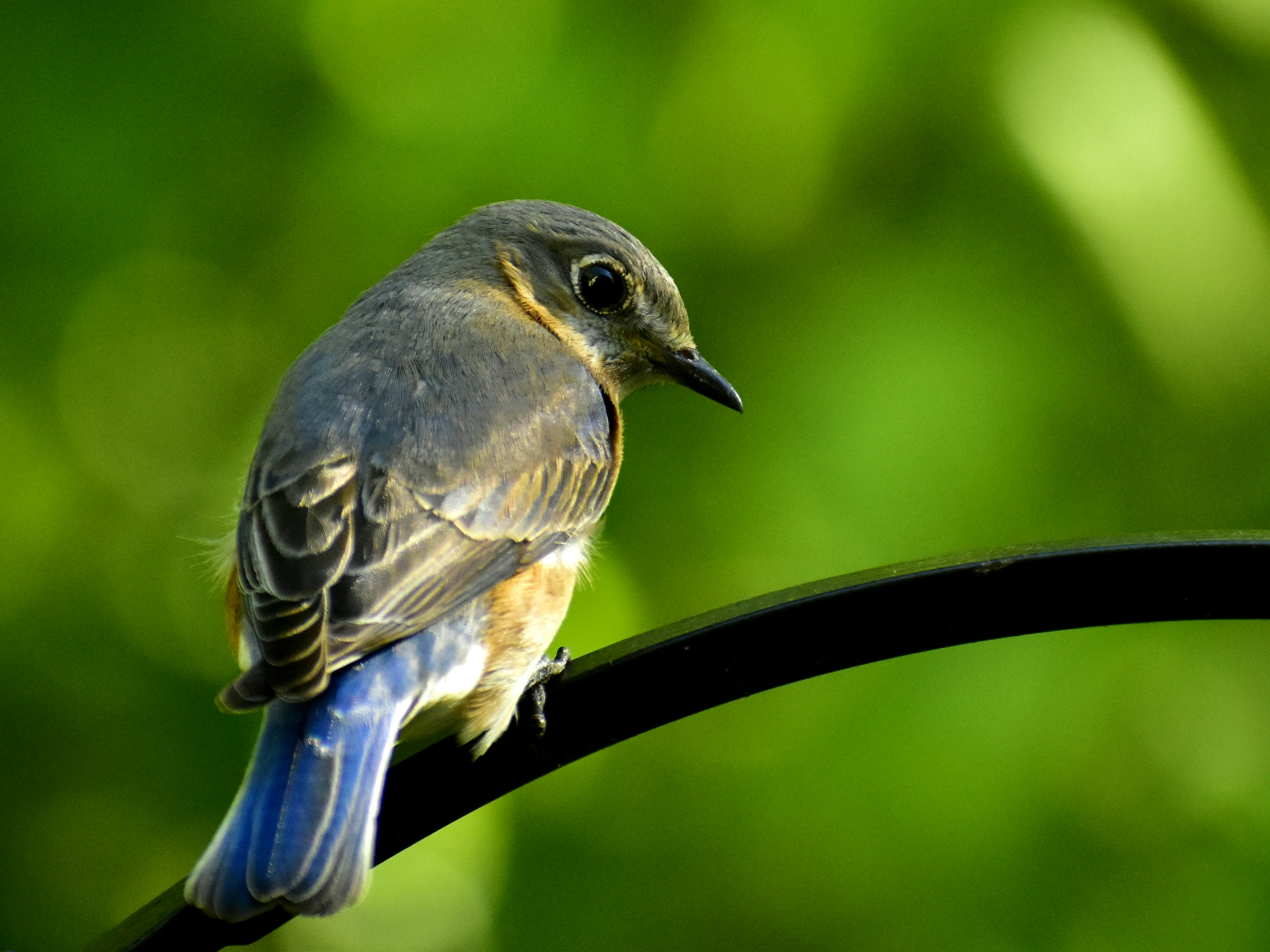 Photo by graysonsmith_photography