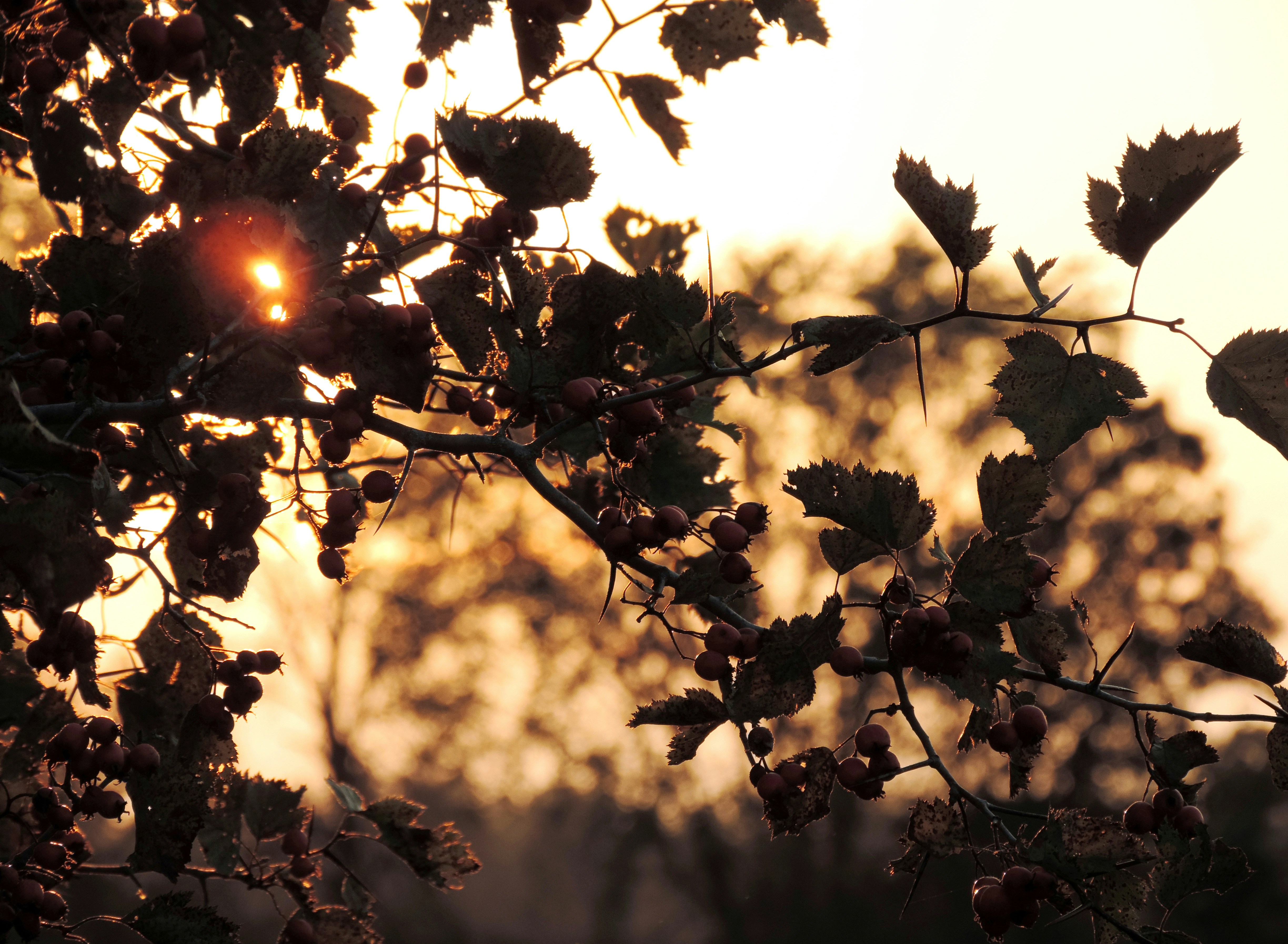 Photo by ilana_reimer