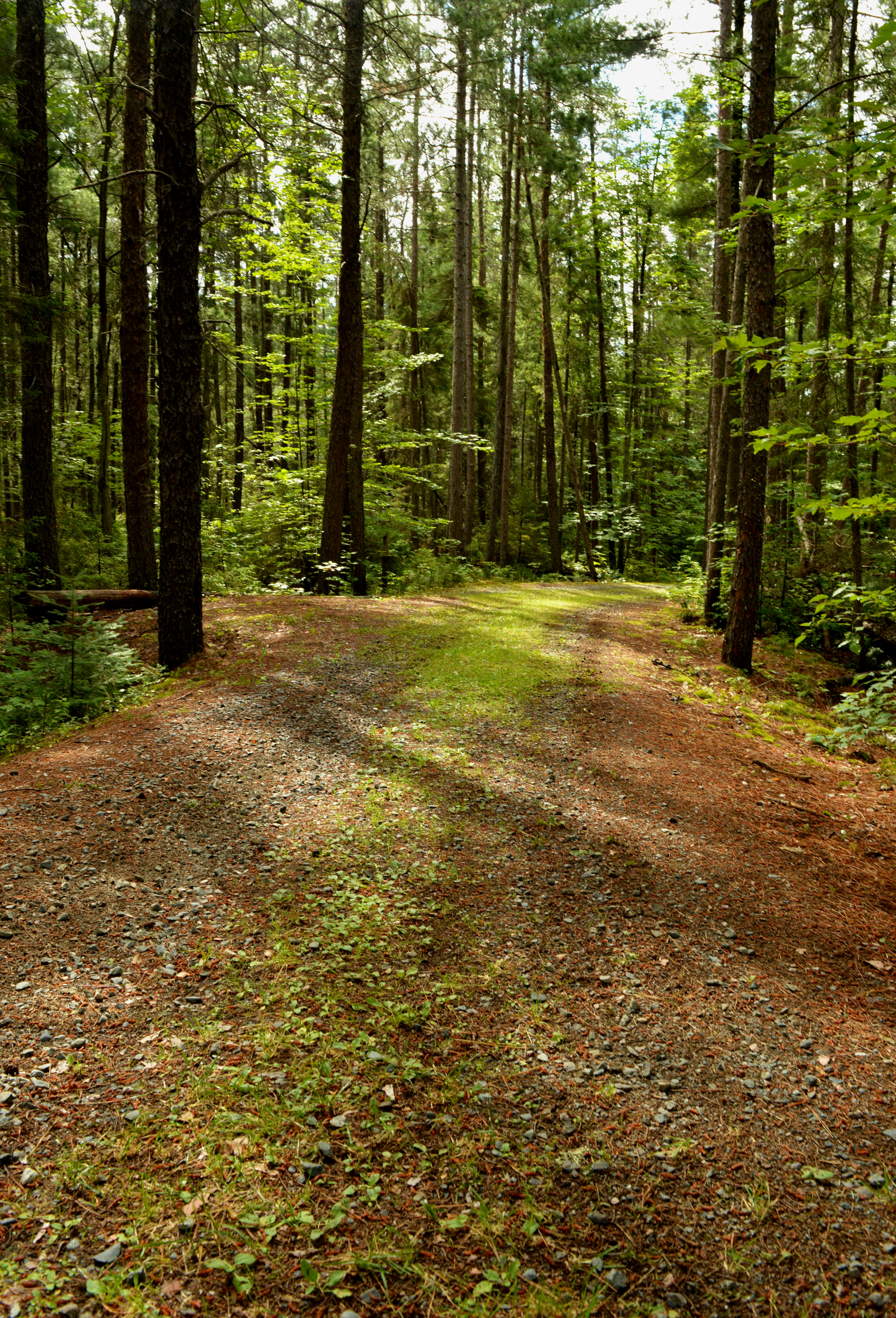 Photo by ilana_reimer