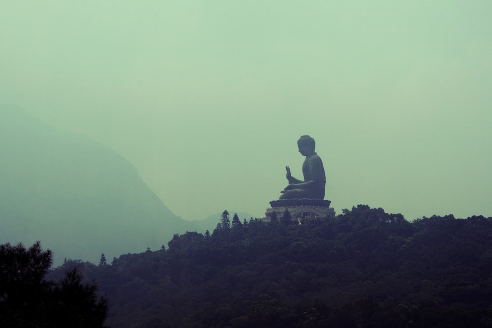 silhouette of man sitting on rock formation during foggy day