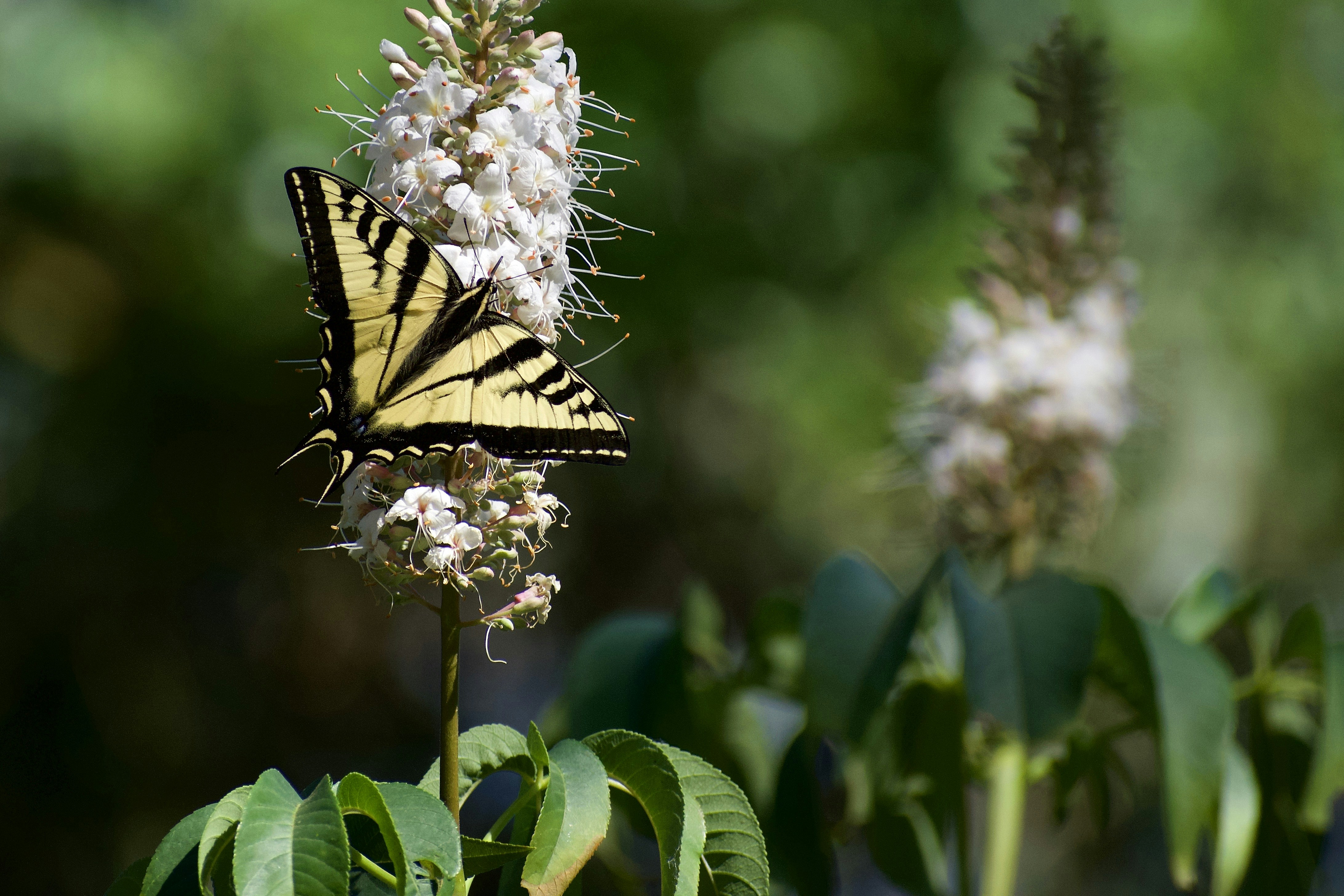 Photo by elisastonephotography