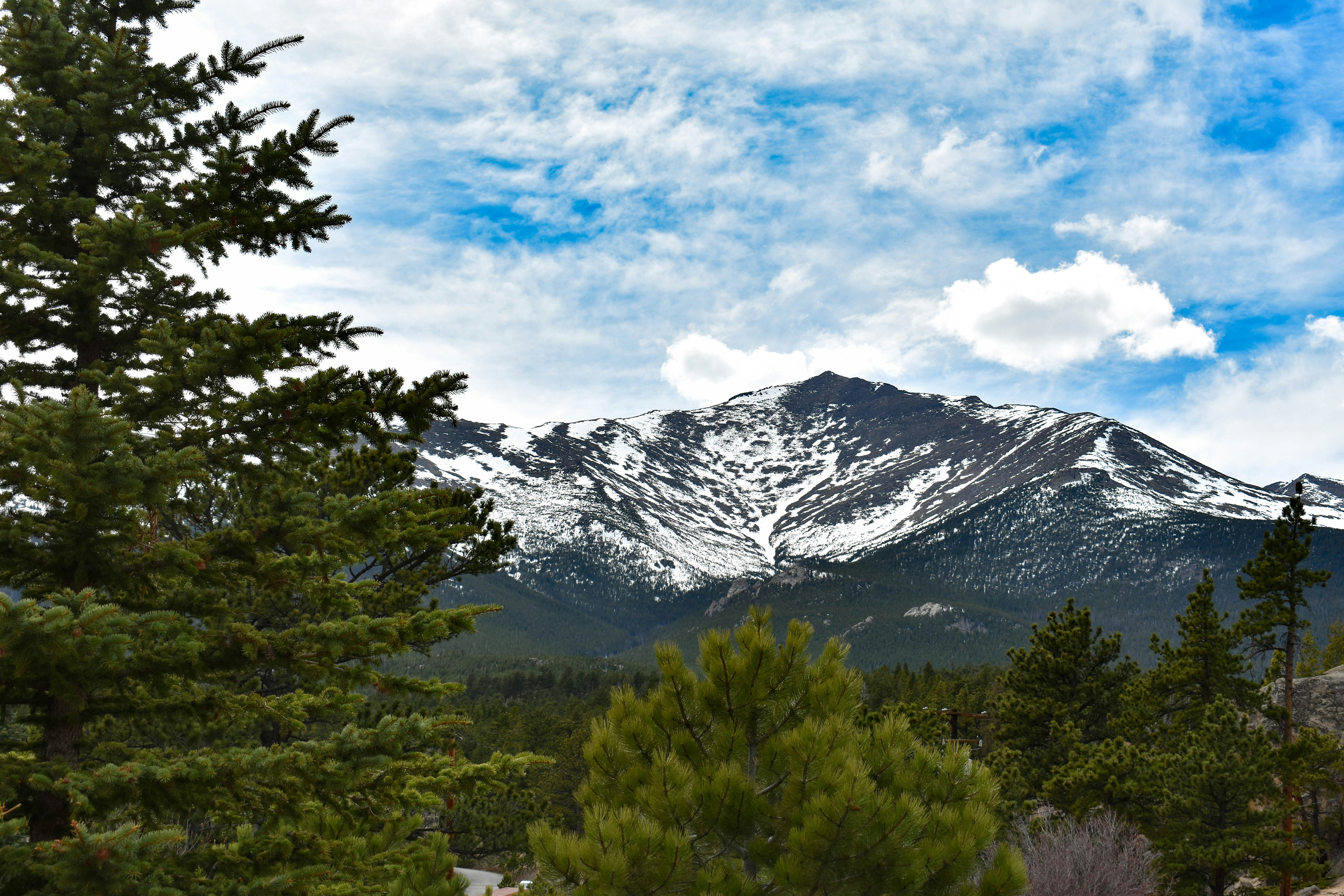 Photo by corrynewooten