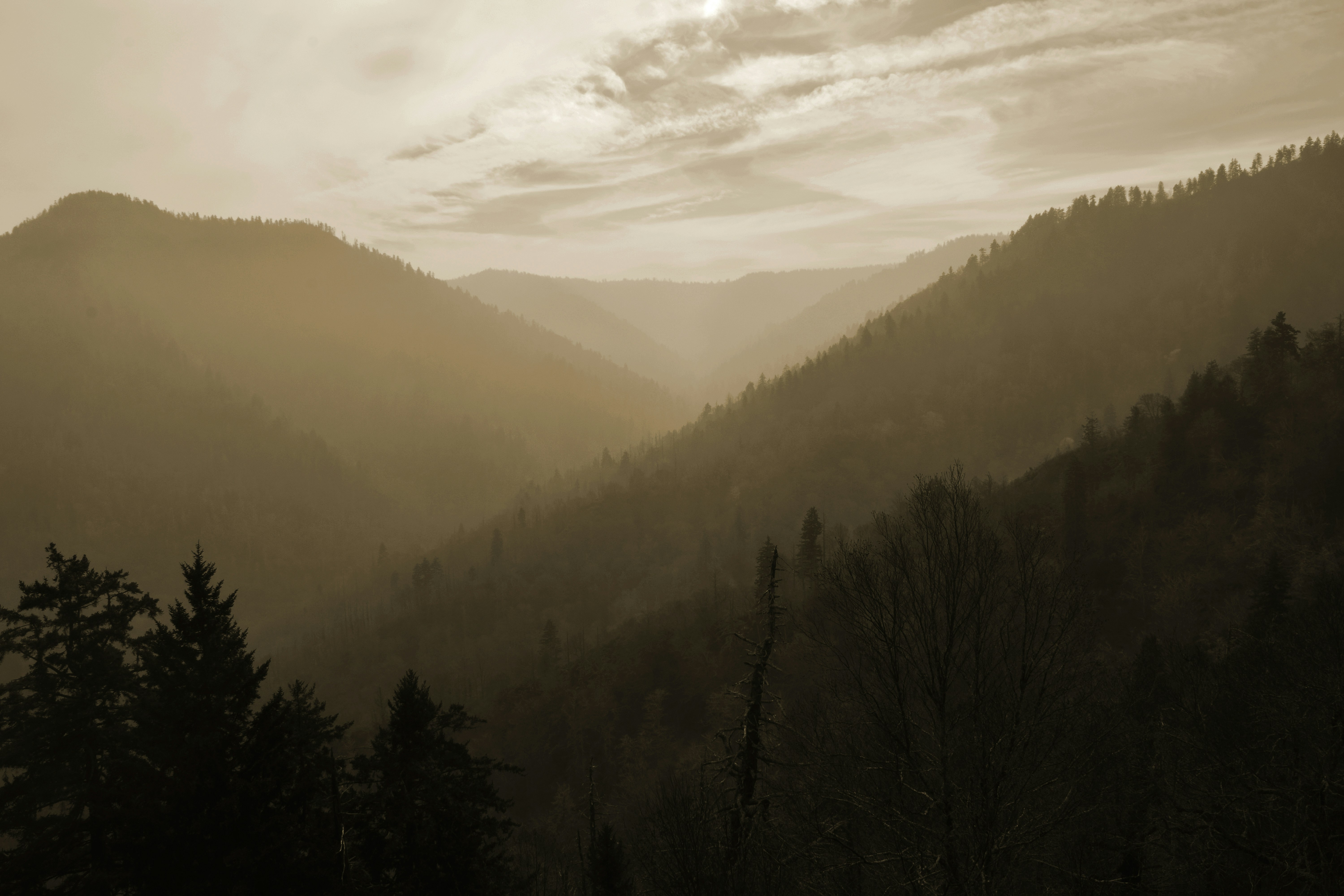 Photo by sphphotography