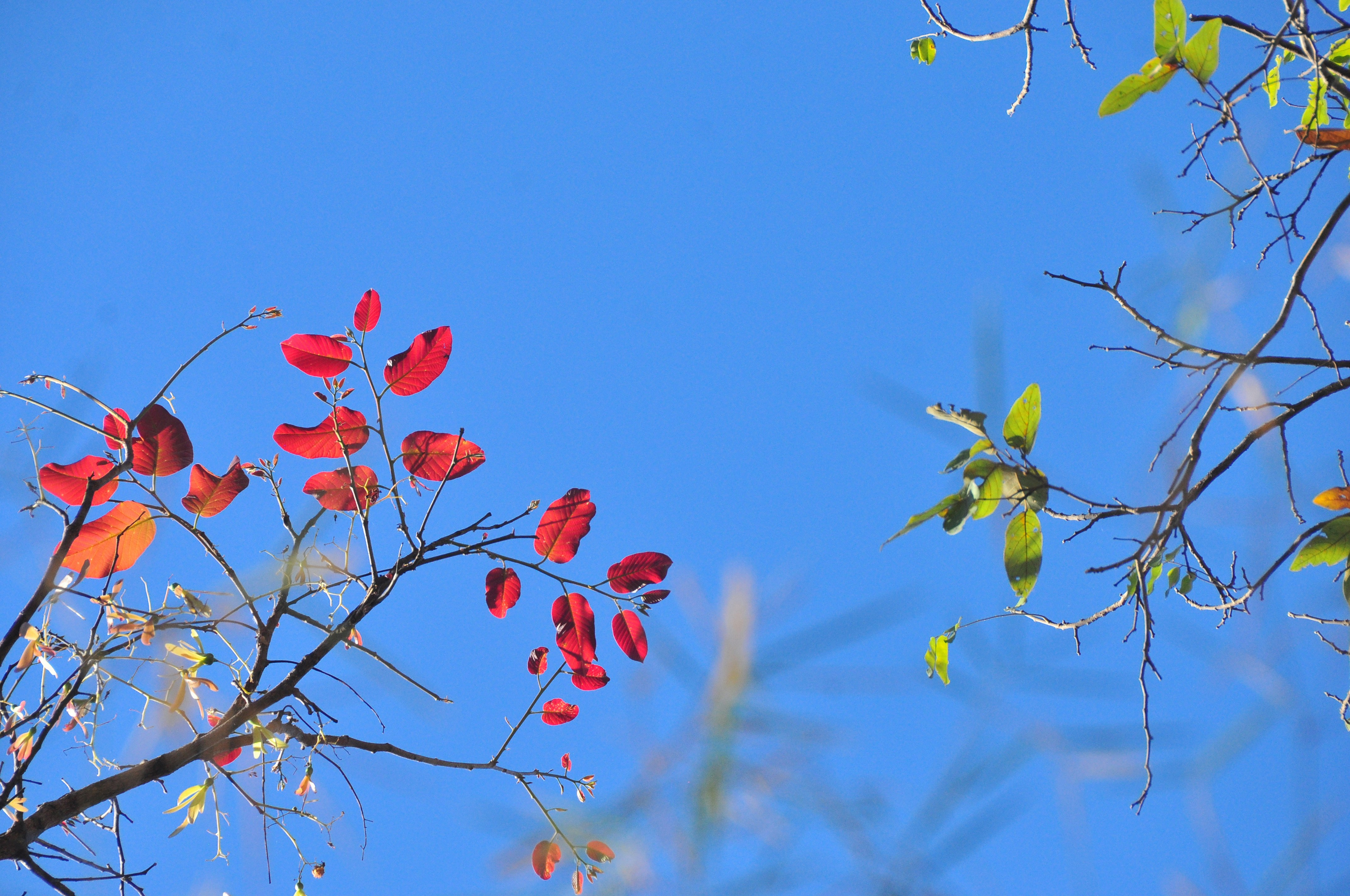 Photo by idonothingbutlove