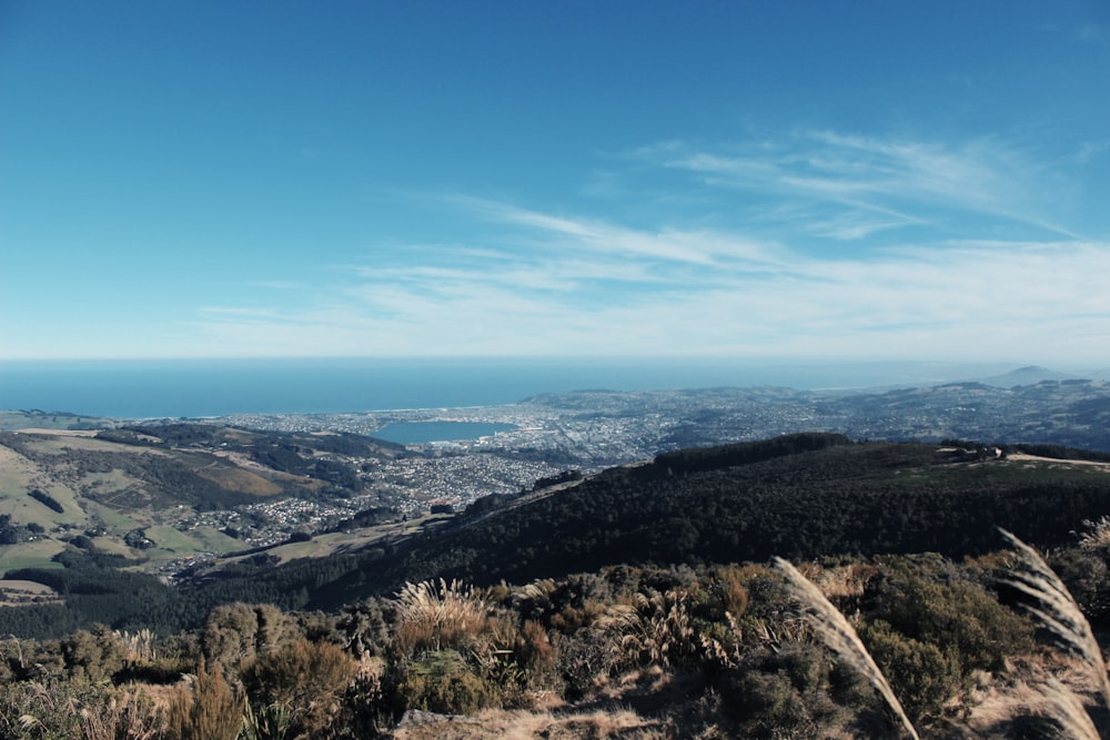 Vista aérea de montañas verdes y árboles durante el día