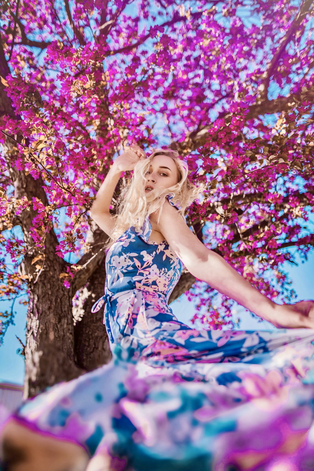 Frau in blau-weißem Blumenkleid tagsüber auf rosa Kirschblütenbaum liegend