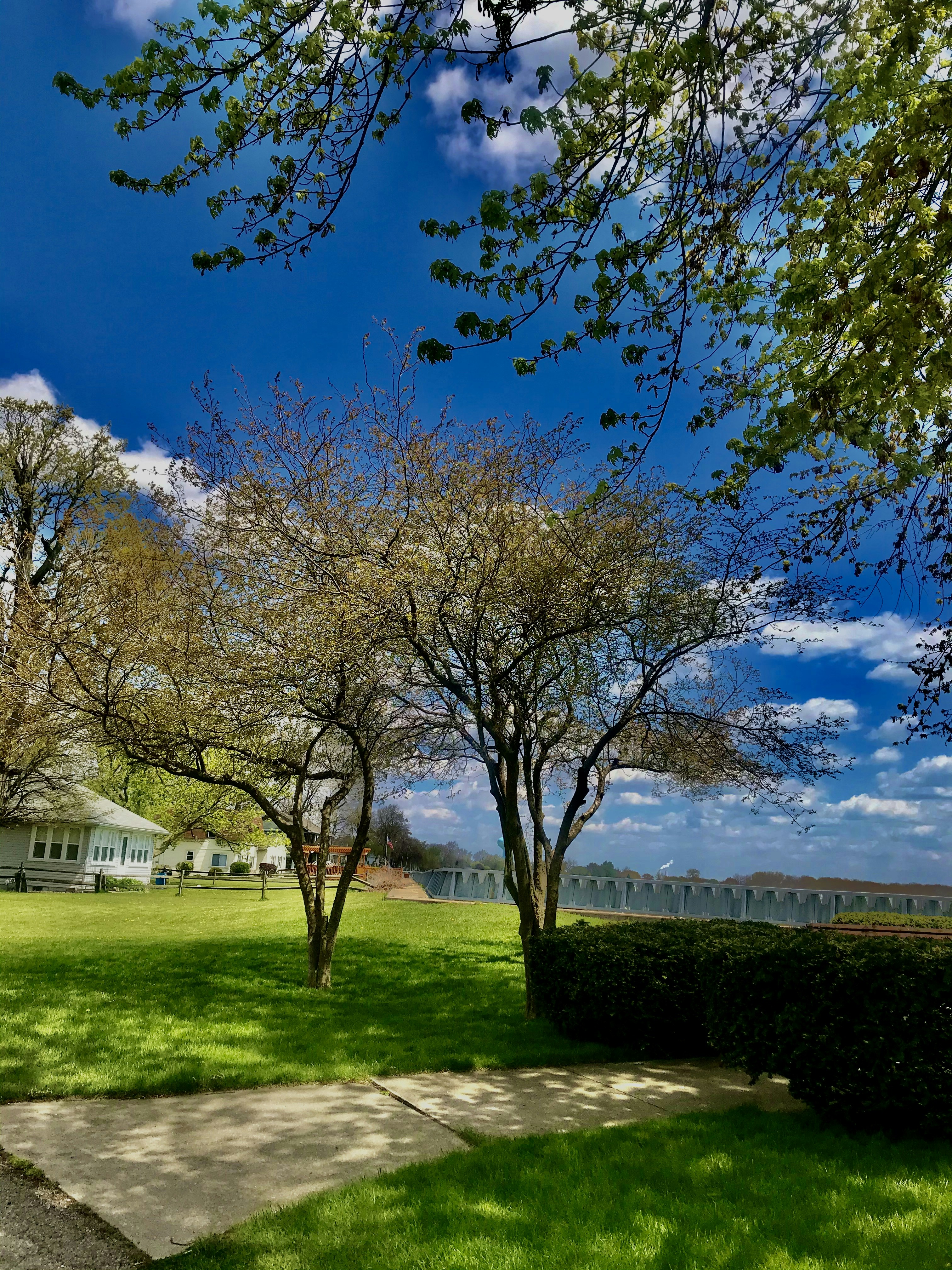 Photo by carinamyers1