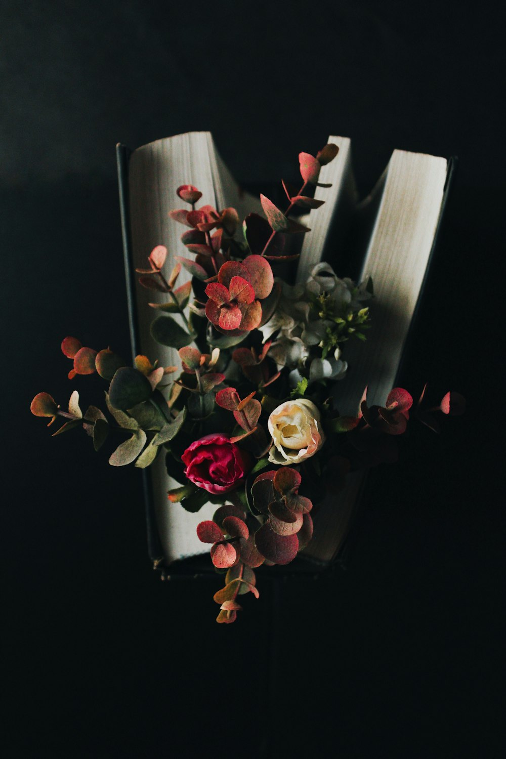 pink and white roses in white ceramic vase