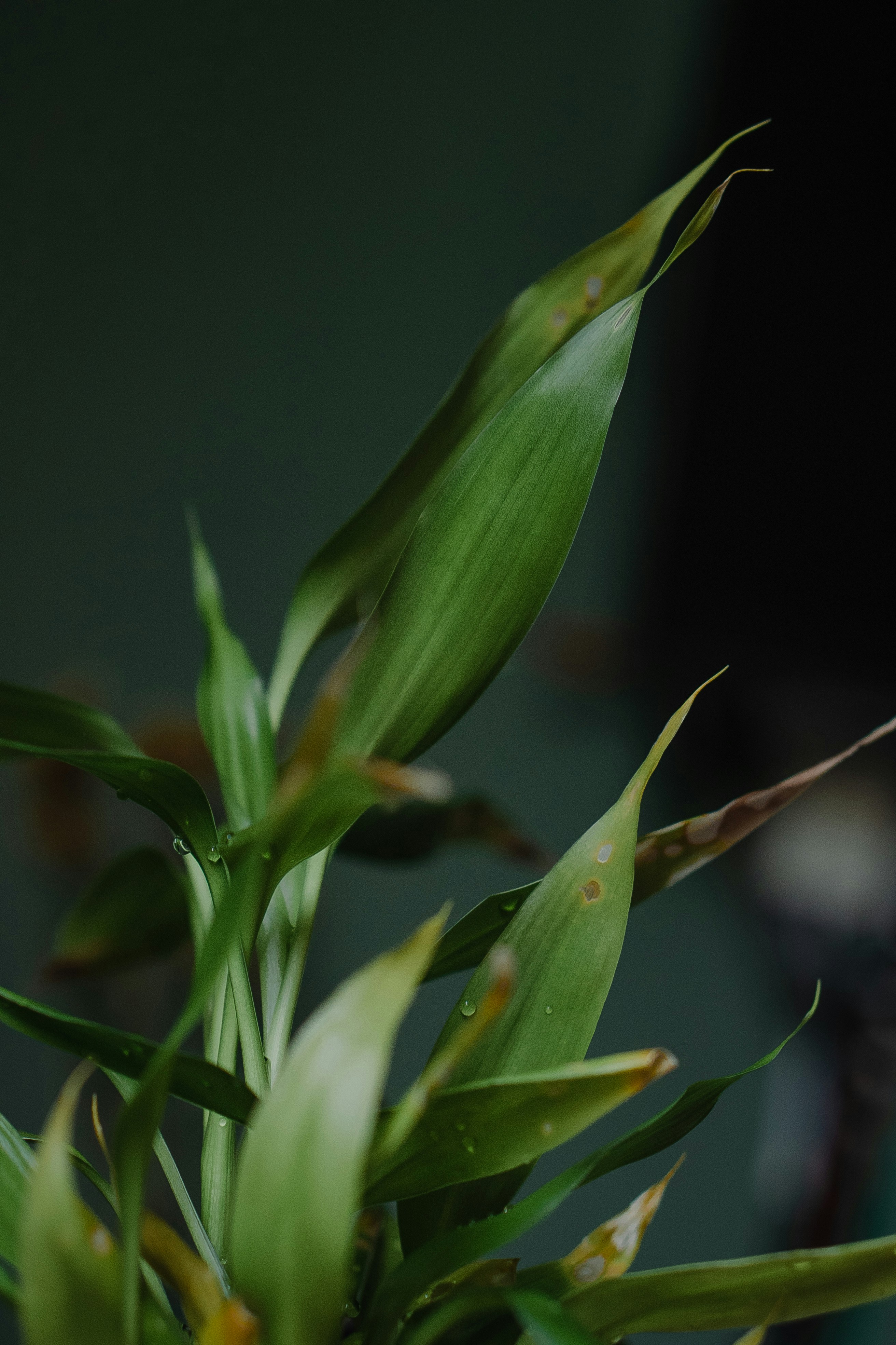 Photo by maahidphotos