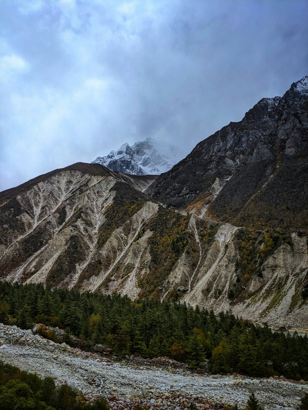 green trees on mountain under white clouds during daytime