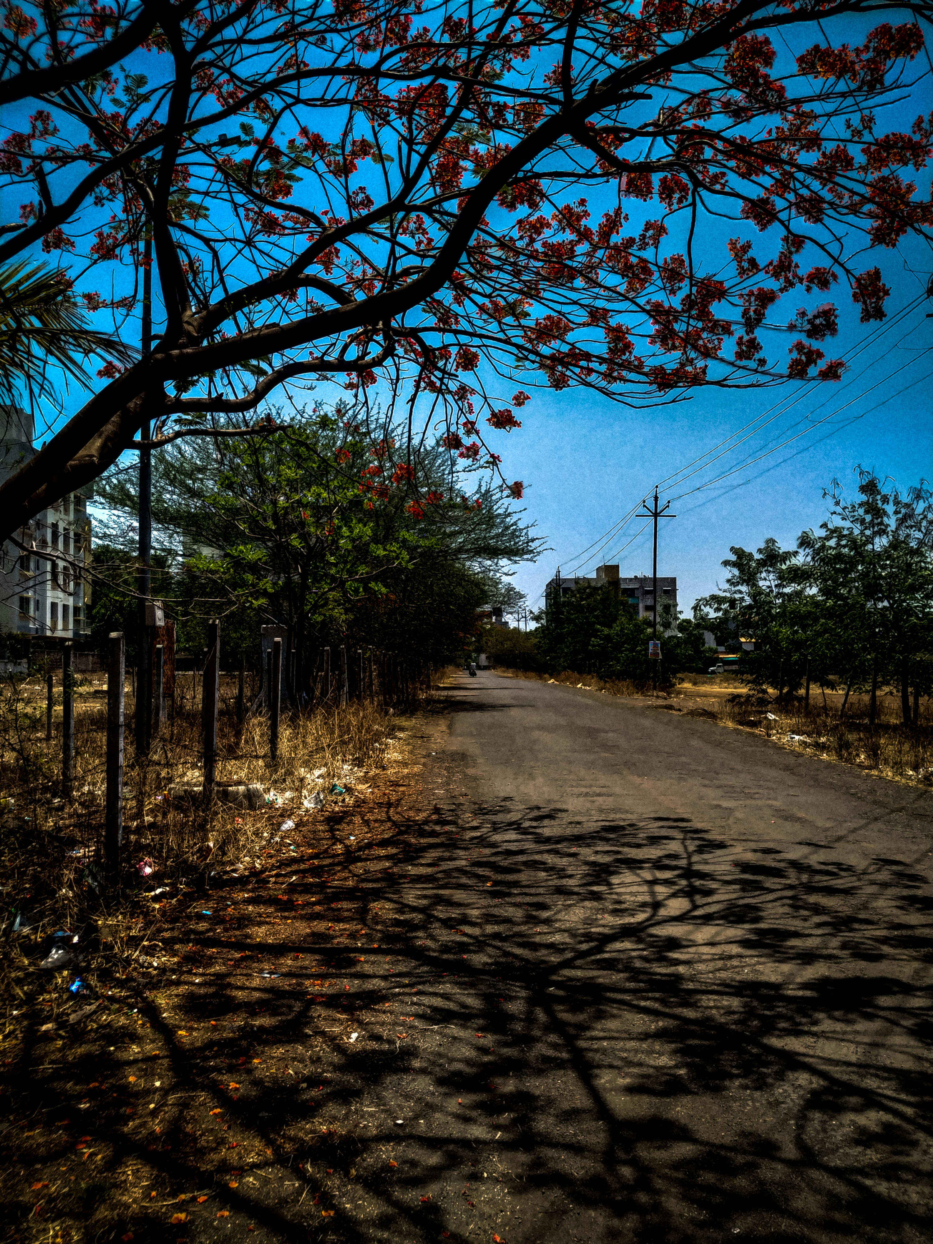 Photo by capturenewph