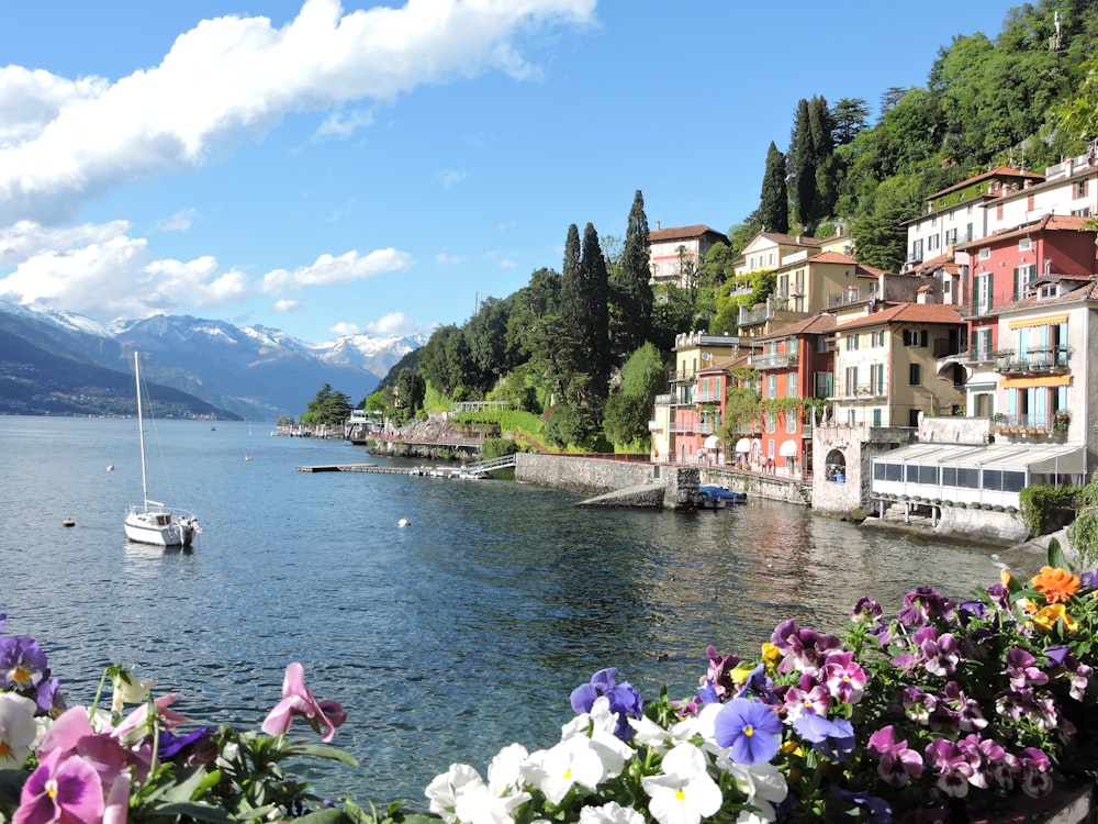 white and brown concrete houses near body of water during daytime