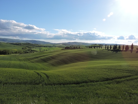 green grass field under blue sky during daytime in Toscana Italy