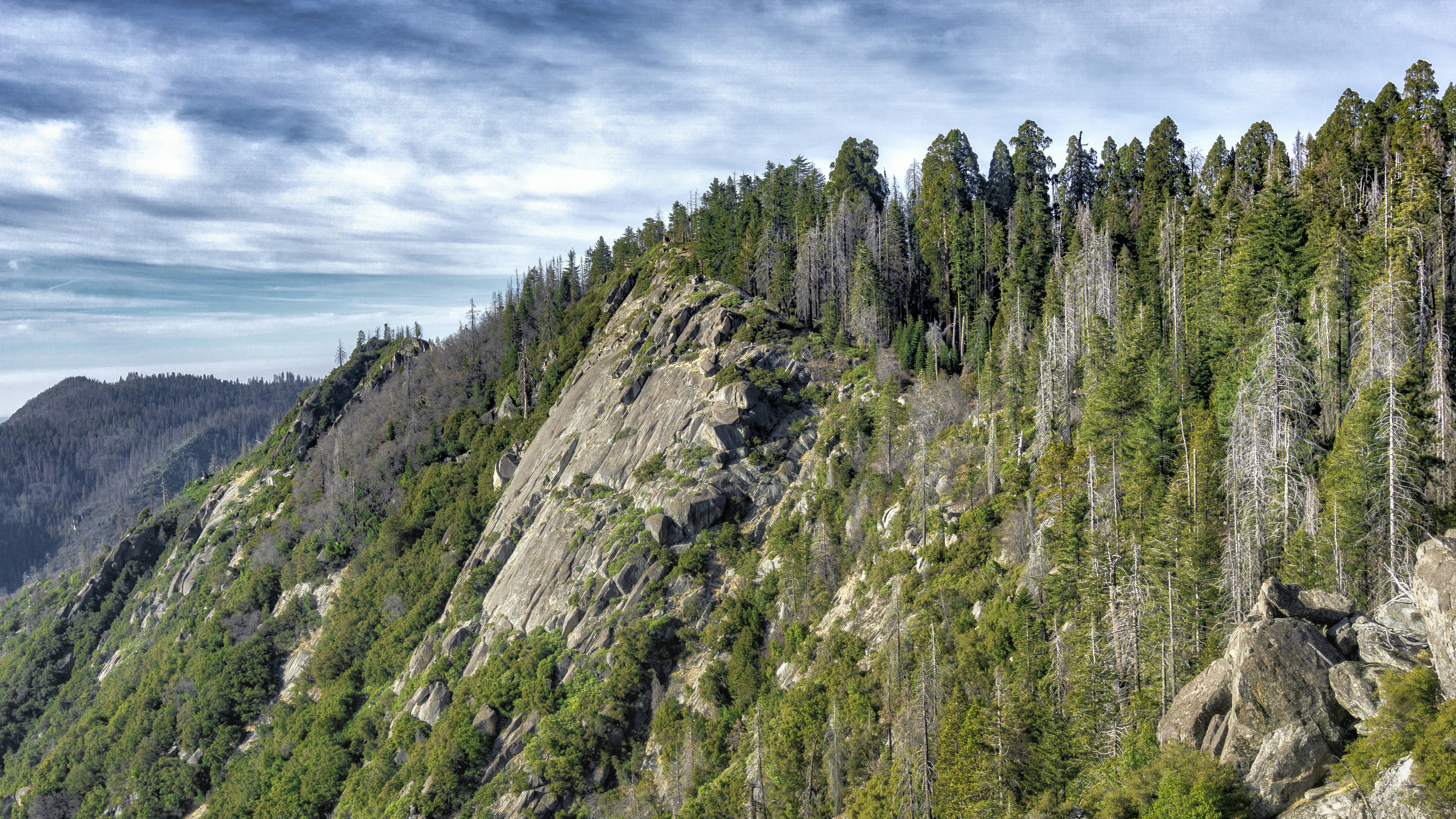 green trees on mountain under blue sky during daytime
