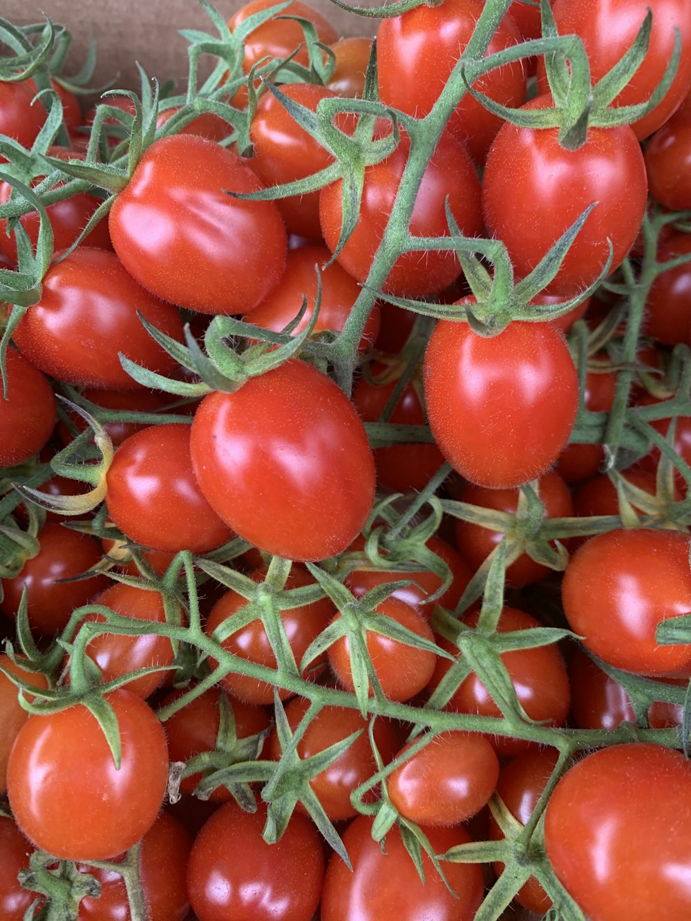 red tomato on brown woven basket