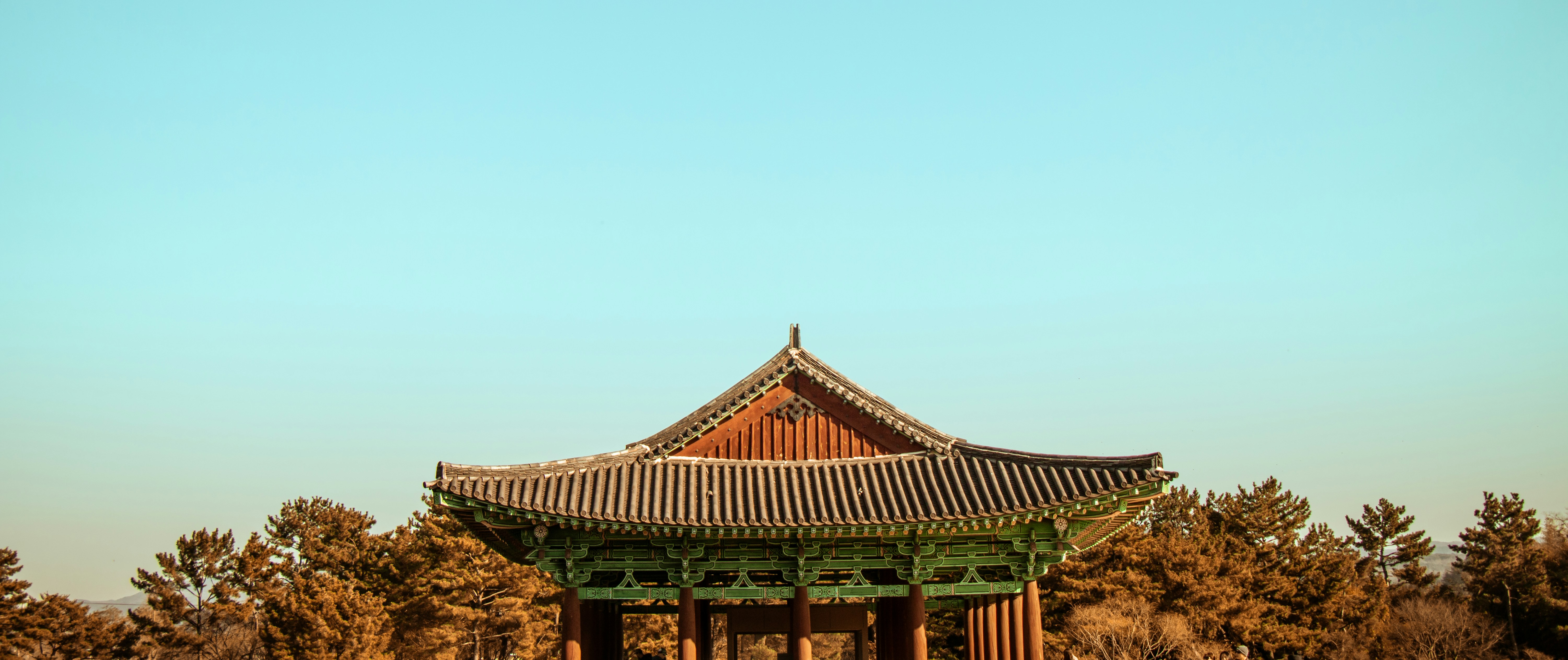 Photo by tsaiwen_hsu