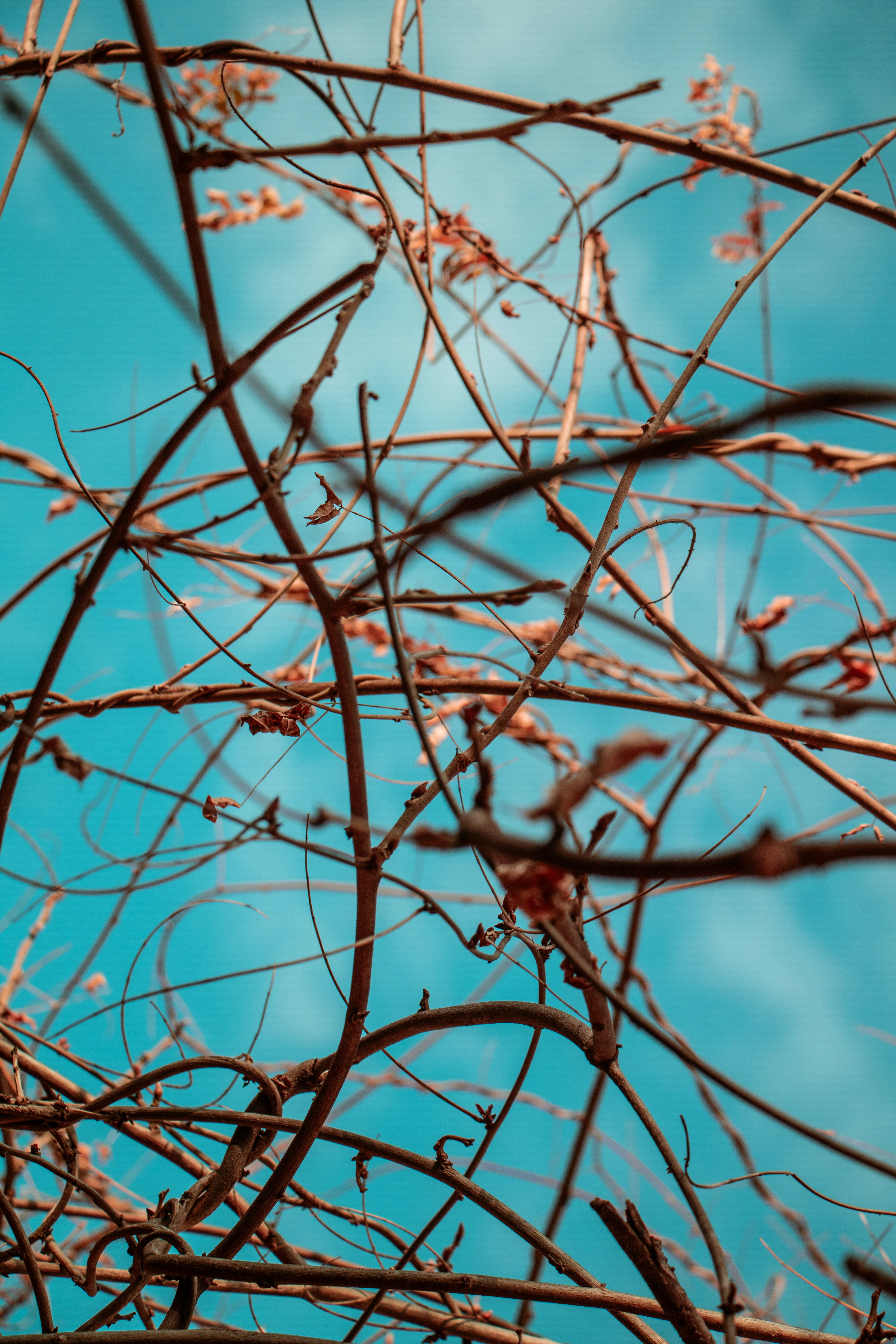 Photo by tsaiwen_hsu