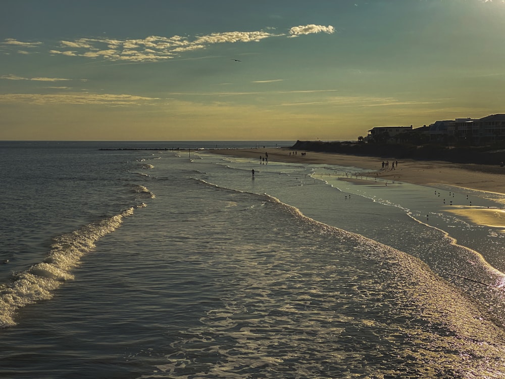 people walking on beach during daytime