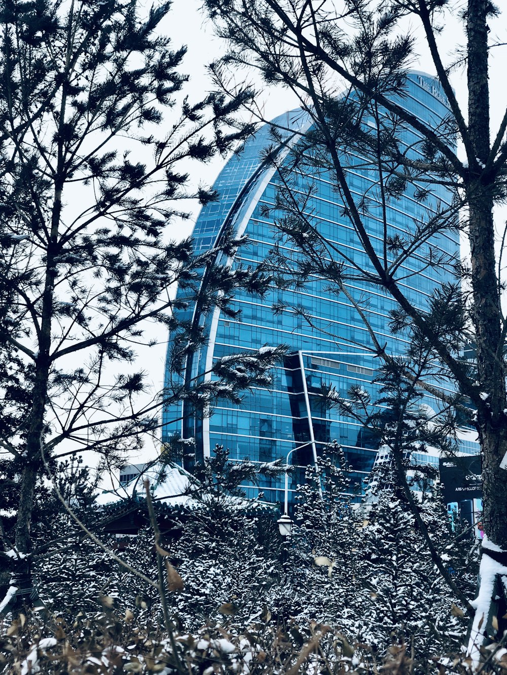 Blattloser Baum vor Glasgebäude