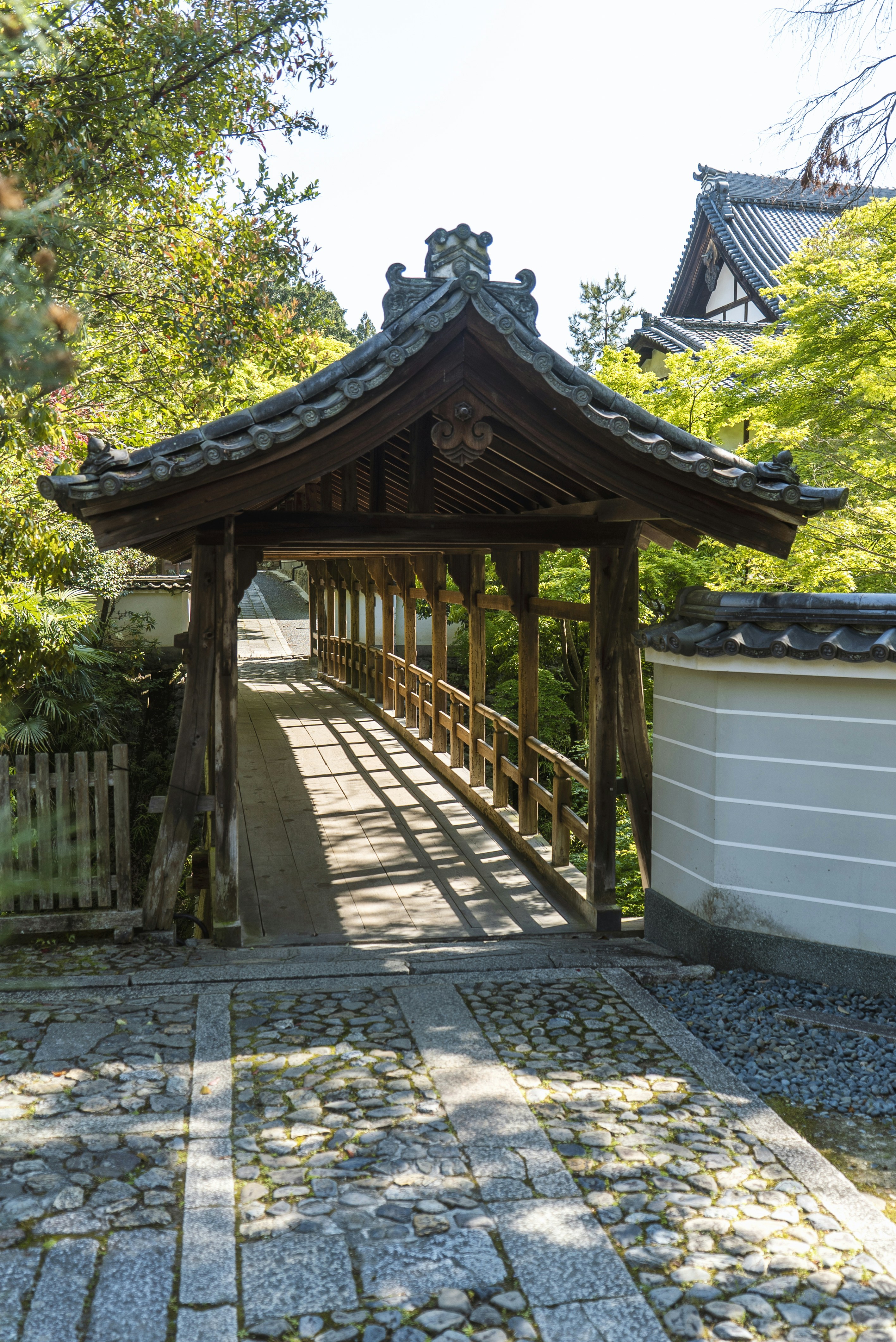 Photo by davidemrich