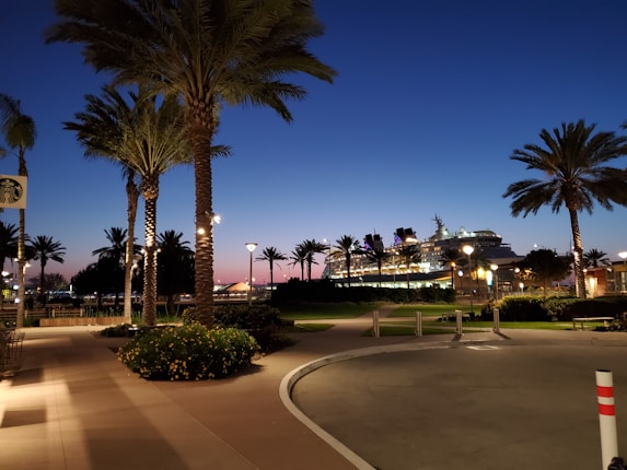 The image captures a serene evening scene with tall palm trees lining a pathway. Street lamps provide warm lighting, and a large cruise ship is visible in the background against a blue and pink gradient sky.