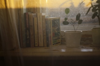 A sunlit window sill with plants and a stack of well-loved books.